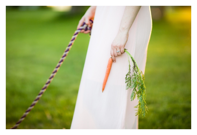 melissa_0010 carrot for horse